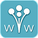 wedding wire